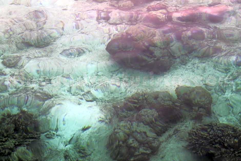 RedDoorz at Shandy's Transient House Palompon