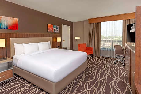1 King Bed