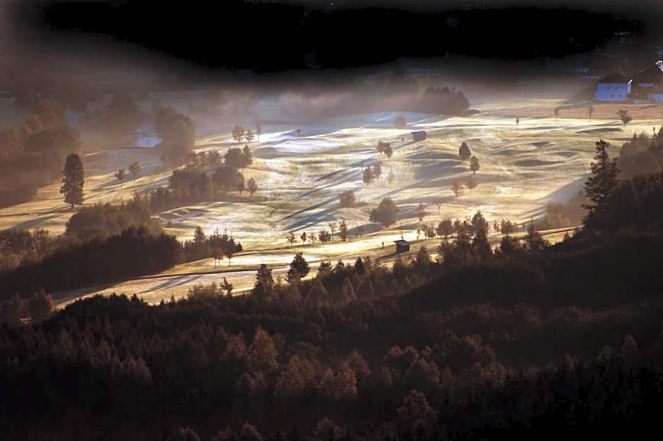 Hotel-Gasthof Beim Böckhiasl
