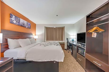 1 King Bed, Suite, Nonsmoking