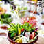 Hotel Rotterdam Huis Ten Bosch