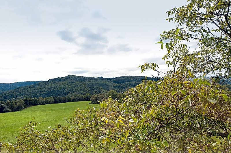 Bergoase Panorama-Apartments