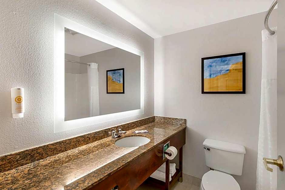 Comfort Inn & Suites Suwanee - Sugarloaf