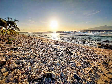 MOOREA - Toatea Beach Piti
