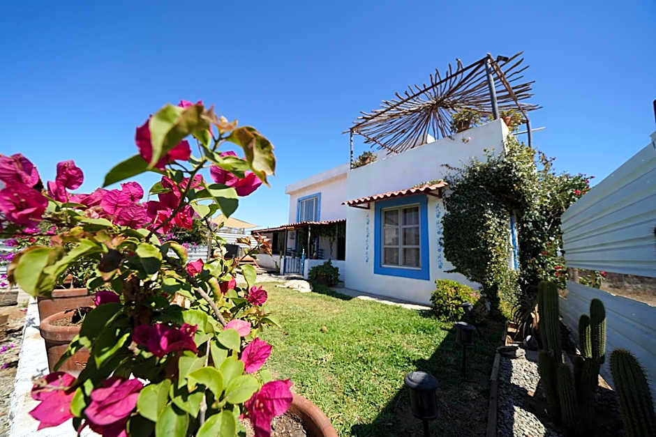 Santerra, Valle de Guadalupe
