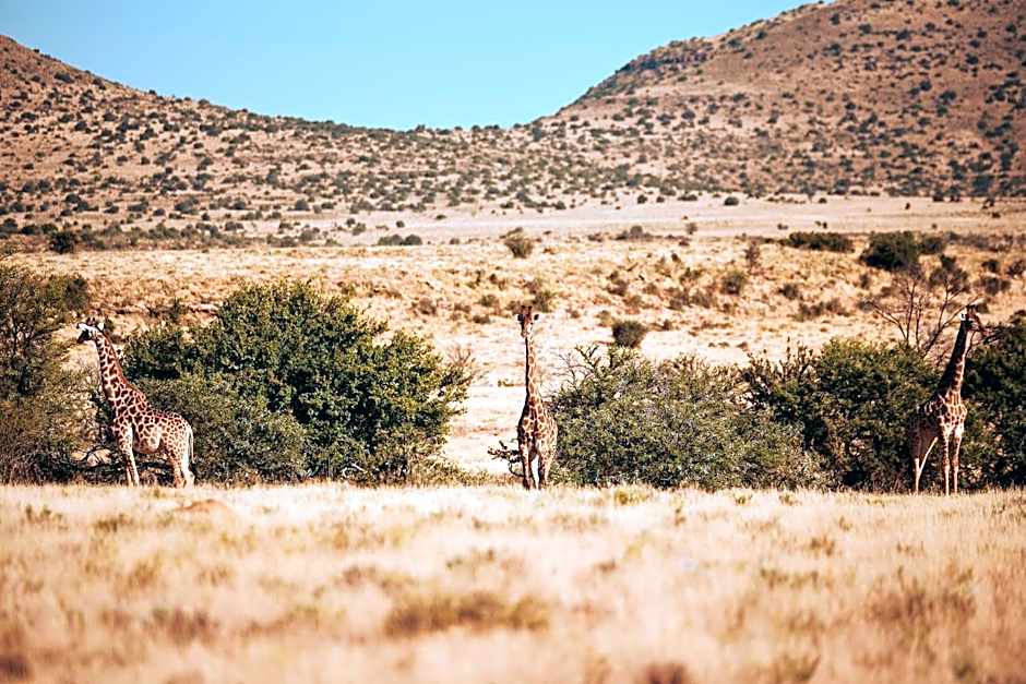 Glen Harry Game Reserve