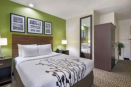 Queen Room - Accessible/Non-Smoking