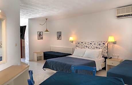 Standard Studio with garden view