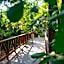Grand Oasis Tulum Riviera - All Inclusive