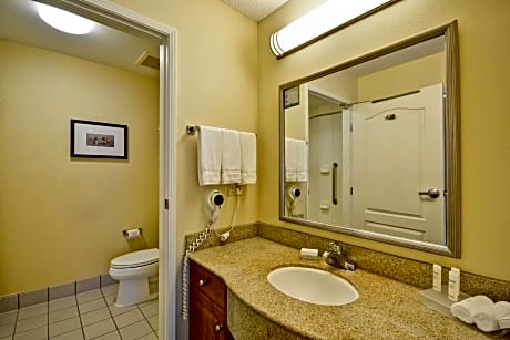 1 King Bed 1 Bedroom Suite Nonsmok