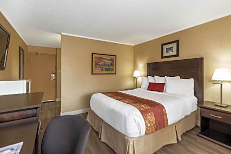 1 Queen Bed Non-Smoking