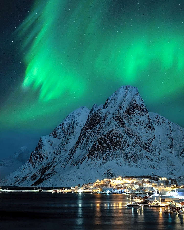 Astra Whale - Waterfront Boutique Hostel in Lofoten