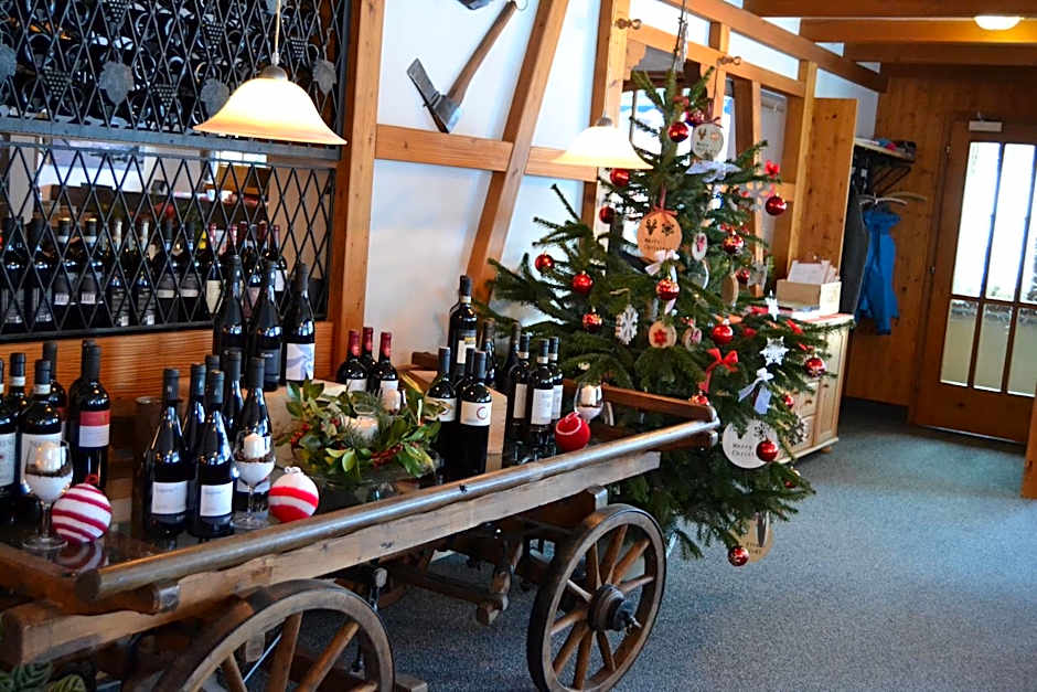 Mountain Lodge Sedrun