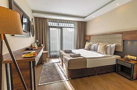 Deluxe Double or Twin Room with City View