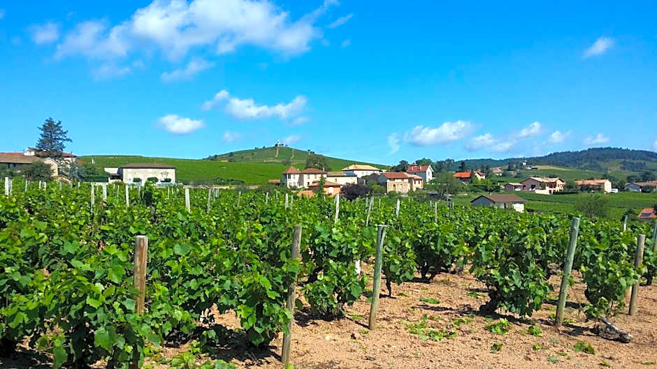 Logis Hotel Des Grands Vins