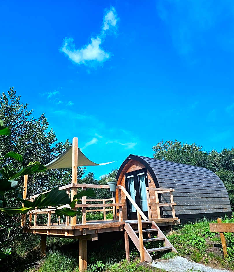 Tiny House De Skierroek