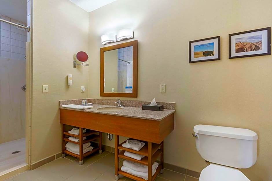Comfort Inn & Suites Rapid City