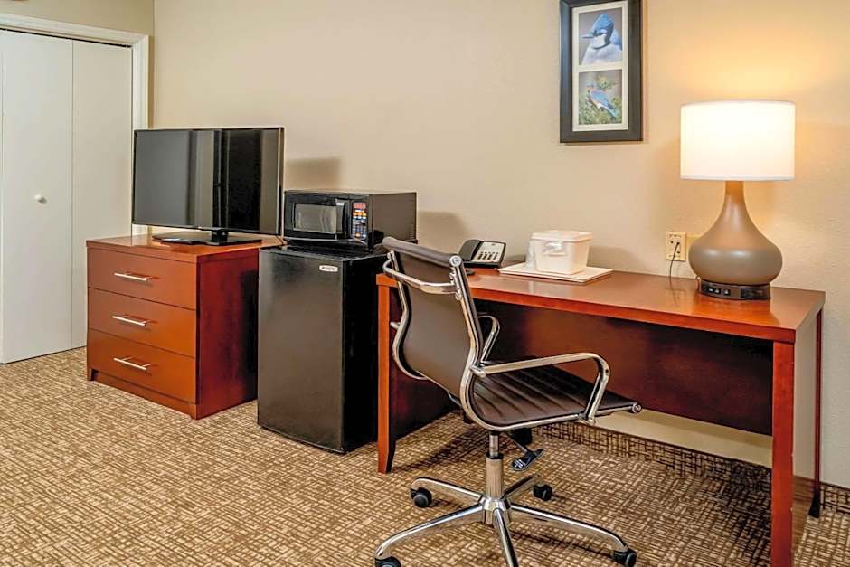 Comfort Inn & Suites Grundy