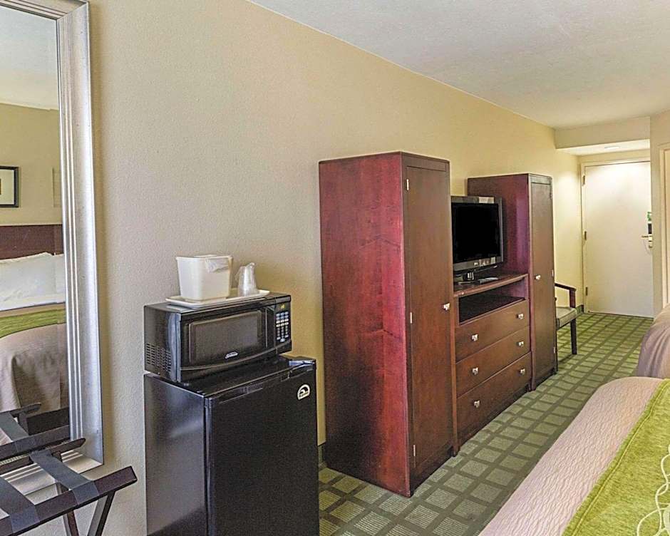 Comfort Inn Southwest Fwy at Westpark