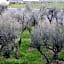 Piccolo Ulivo B&B Salento