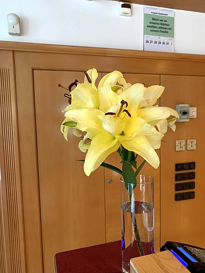 Apartment Hotel Elvis