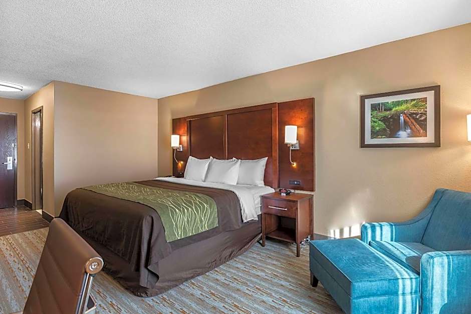 Comfort Inn Bay City - Riverfront