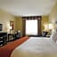 Holiday Inn Express and Suites Snyder By IHG