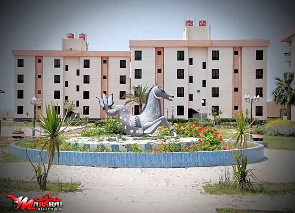 Ras El Bar Apartments Armed Forces