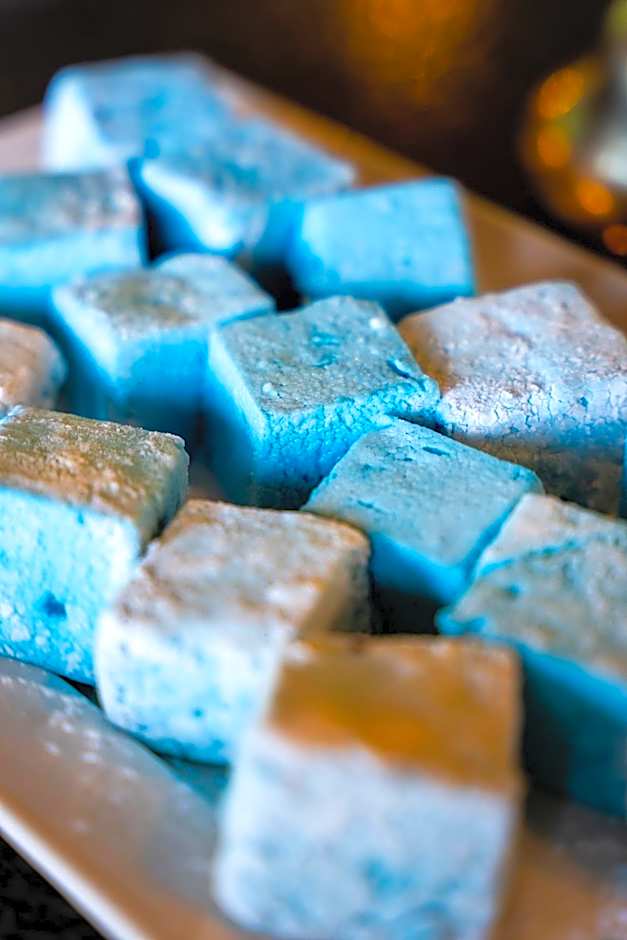 Thornybush Game Lodge