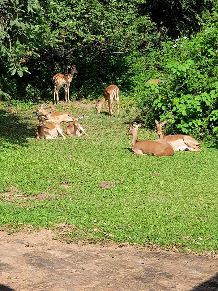 Kruger Park Lodge Unit No. 277
