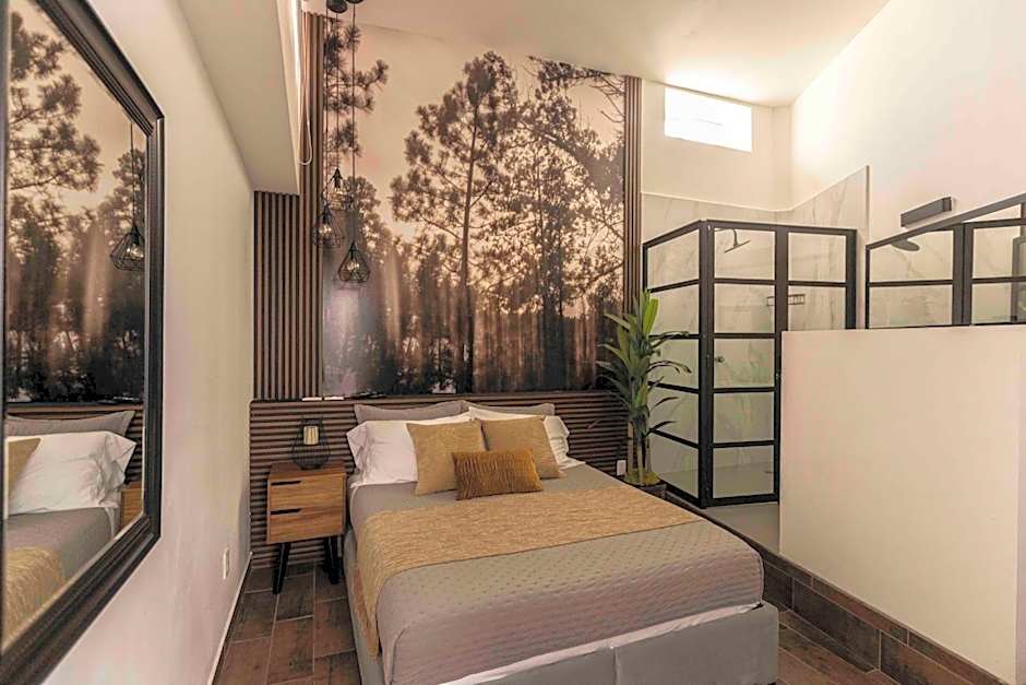 Morada Luna Polanco