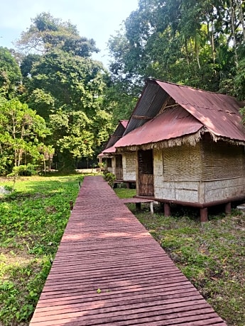 The Forest Elephant - Formerly known as the Flying Elephant