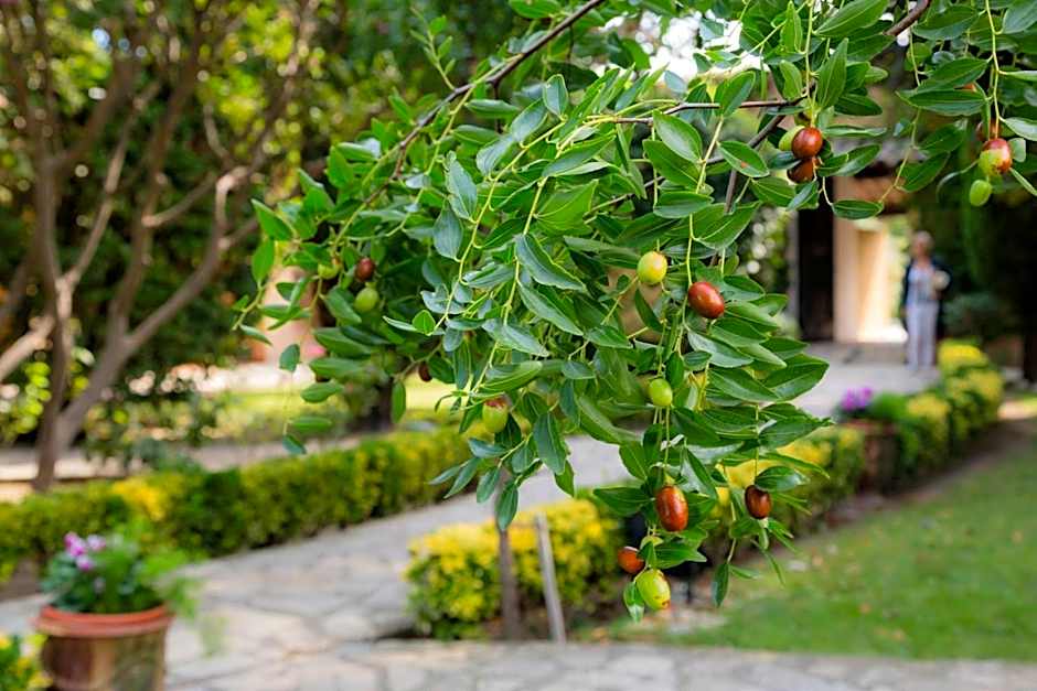 Auberge de Cassagne & Spa