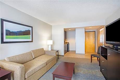 One-Bedroom Suite with Sofa Bed