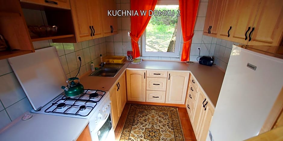 Bieszczady Sosnowa Aleja