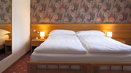 Triple Room with Mountain View