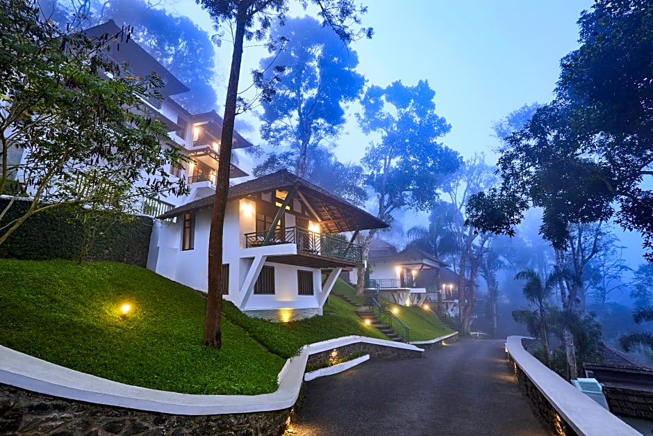 Forest Canopy Resort