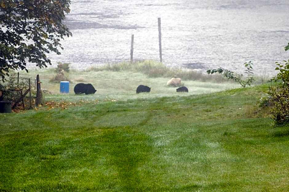 Beaver Hut Bed And Breakfast