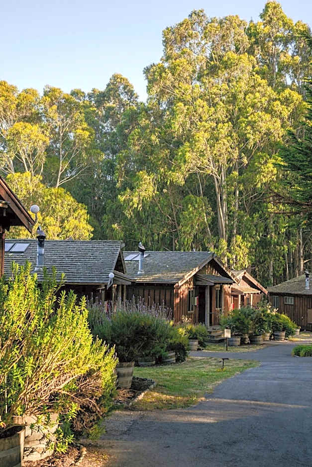 Costanoa