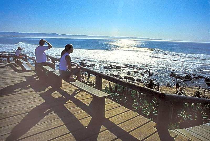 Diaz 15 House on the Bay