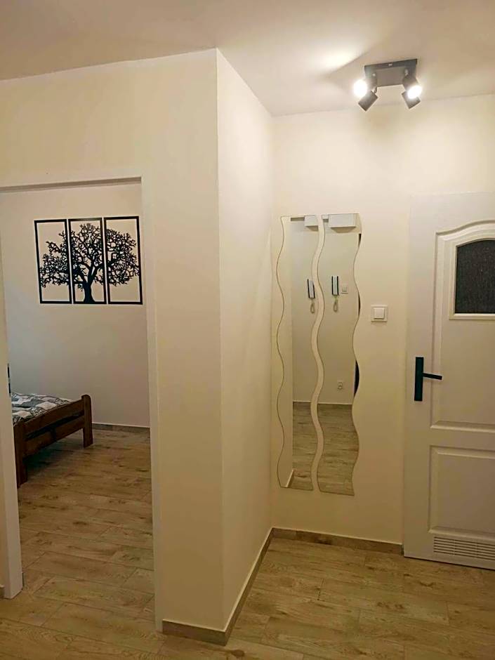 APARTAMENT CENTRUM Międzychód