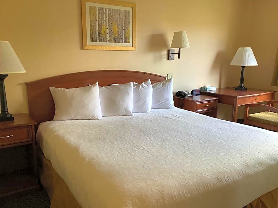Luxury Inn & Suites