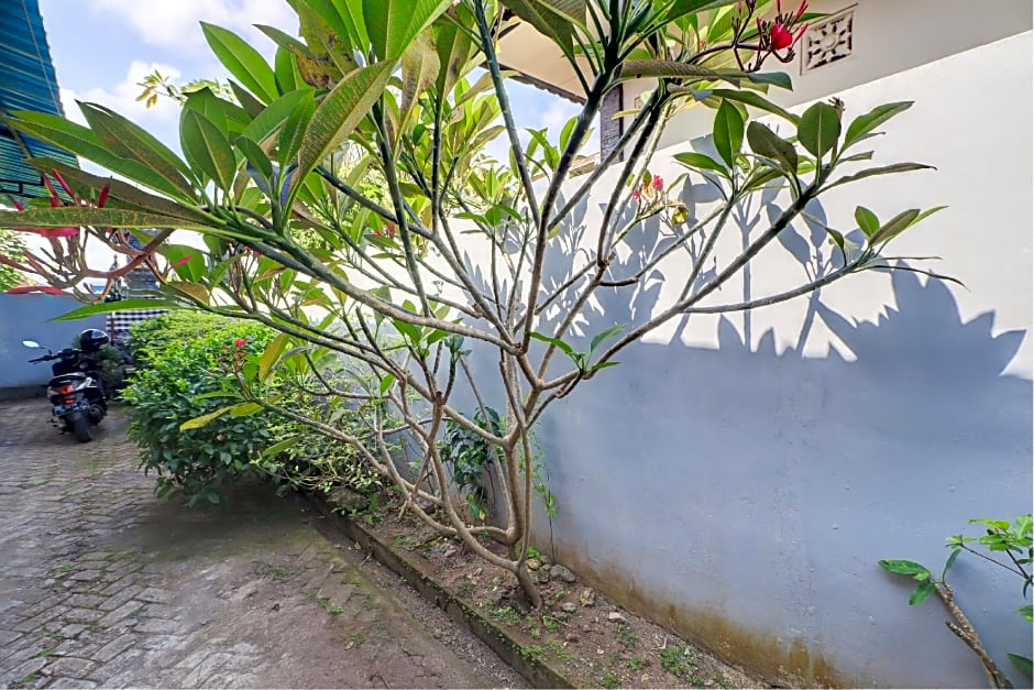 OYO Life 92838 Kost Ibu Surya