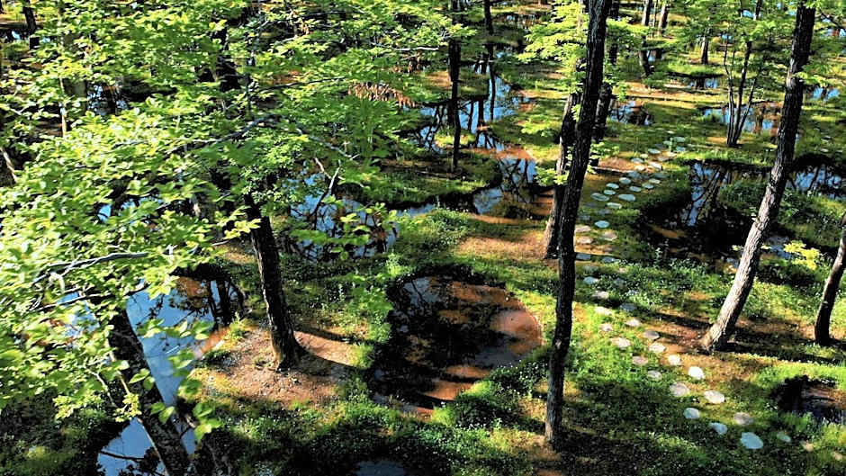 那須 無垢の音
