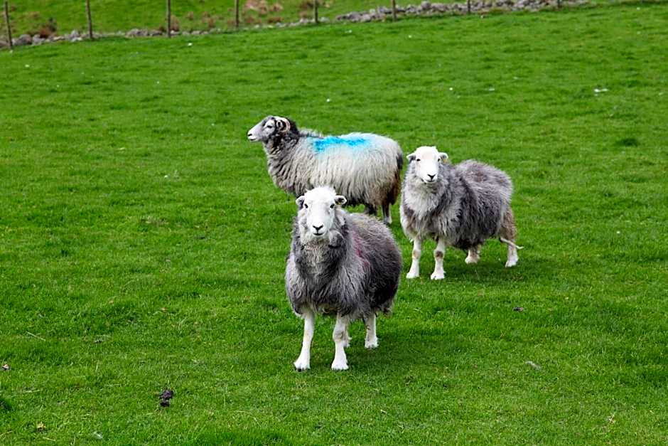 Kirkwood Guest House