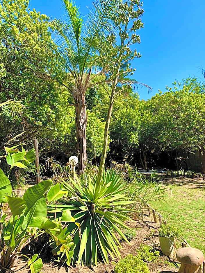 The Little Hideaway Guesthouse