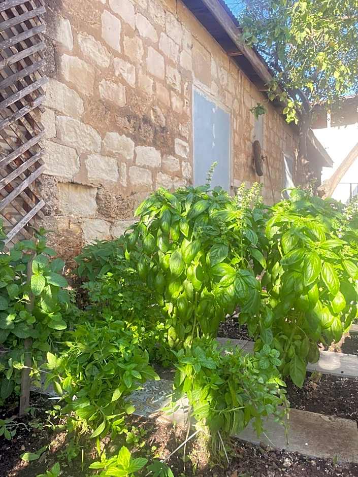 Al Yakhour Hostel
