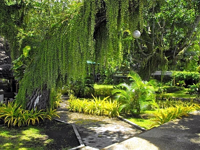 Camiguin Island Golden Sunset Beach Club