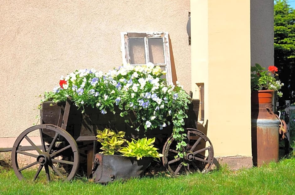 Pokoje go¿cinne Ewela