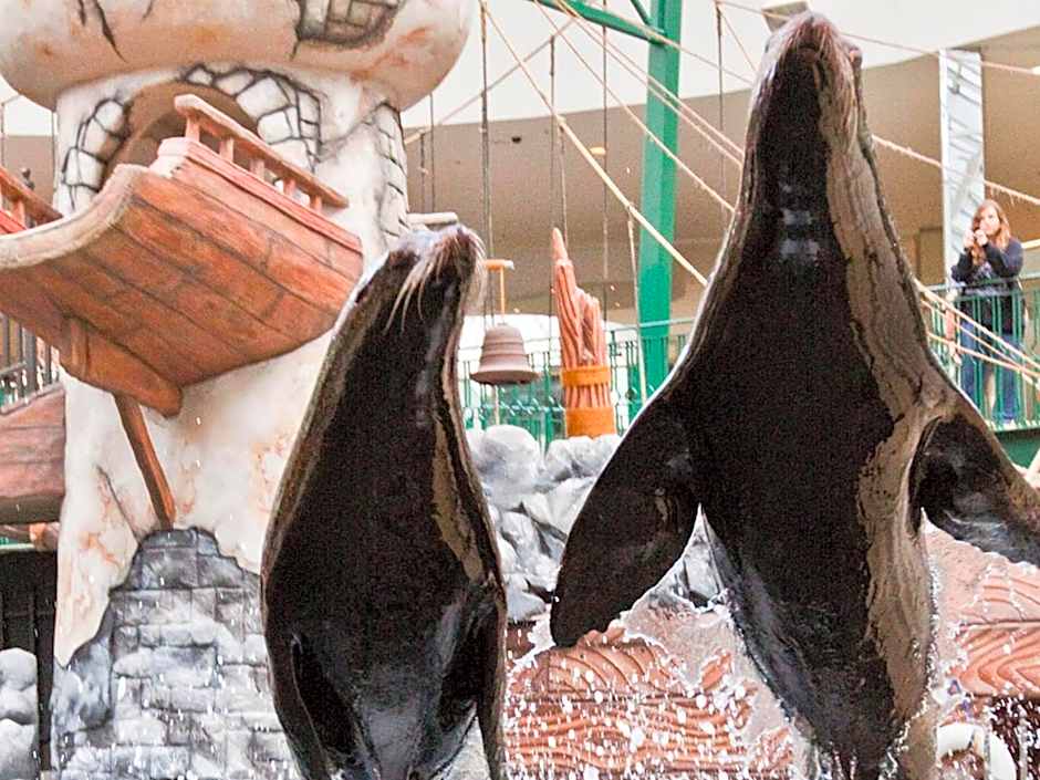 West Edmonton Mall Inn